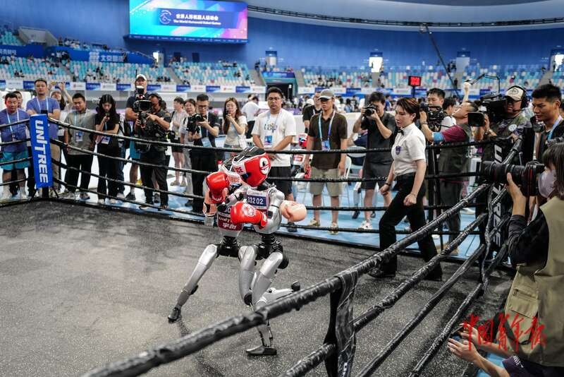 Humanoid Robot